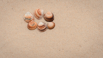Arrière-plan grains de sable de mer, sable fin de plage et coquillages.	
