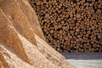 Pulpwood logs and their wood texture.