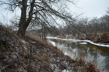 An old tree by the riverside, winter landscape, dry nature covered with snow and ice. Countryside scenery at the cold season.