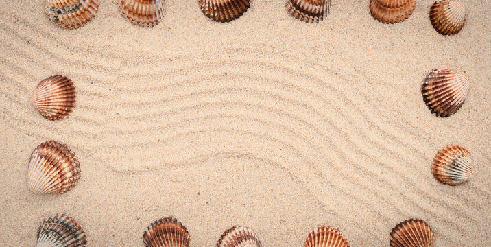 Arri&egrave;re-plan grains de sable de mer, sable fin de plage et coquillages.	
