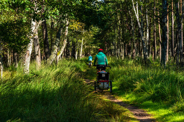 On the trail, cycling in interesting terrain