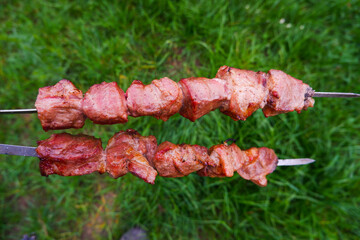Delicious grilled pork meat in BBQ Barbecue with pork meat. Kebabs on the grill. Close-Up Of Meat On Barbecue Grill on green grass background.