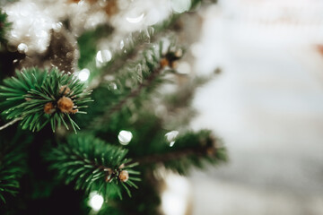 Blurred branches of a Christmas tree on New year bokeh background