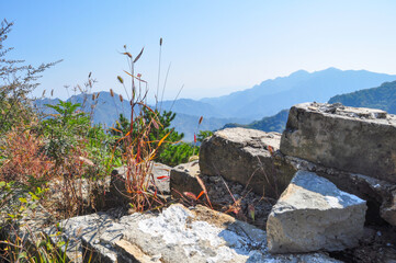 Unplastered, crumbling bricks and red grass growing on the Great Wall of China near Beijing. The...