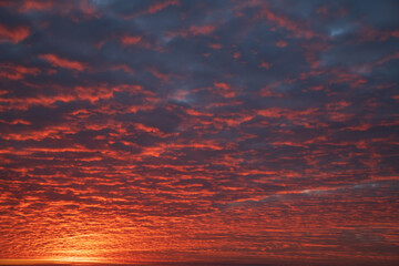 Fototapeta premium Autumn dawn with beautiful pinnate clouds.