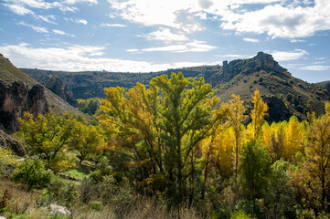 Pelegrina, Guadalajara, Castilla La Mancha, España