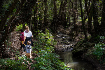 Fototapeta premium Mother with sons walking in forest