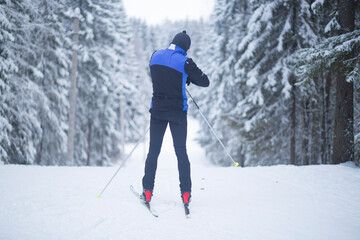 Skier on the ski track. Cross country ski.