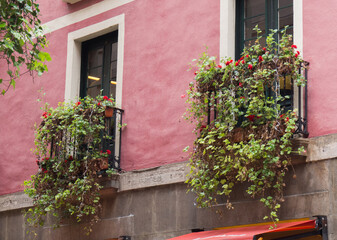 Flowered balconies in the street