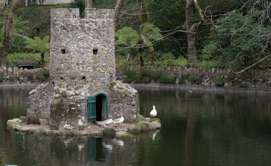 Ducks in a tower in the middle of the lake