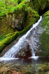 Allerheiligen-Wasserfälle Oppenau in Baden-Württemberg