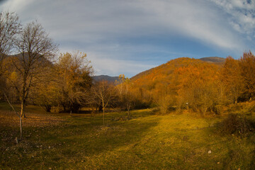 Amazing view with colorful autumn forest with asphalt mountain road at sunset.