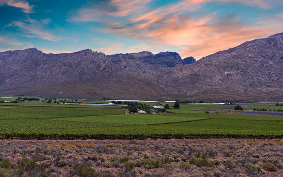 Hex River wine valley and mountains with golden cloud sky in Western Cape South Africa