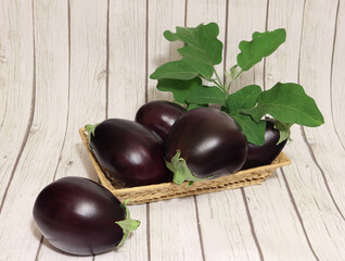 Ripe eggplant on a striped background