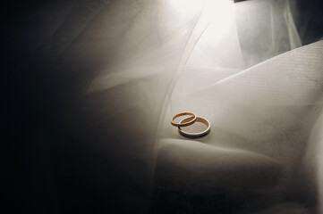 wedding elements gold wedding rings