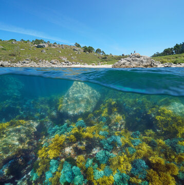 Coast of Galicia in Spain, beach with large rocks and colorful algae underwater, split view over and under water surface, Atlantic ocean, Bueu, Pontevedra province, Praia do Ancoradoiro