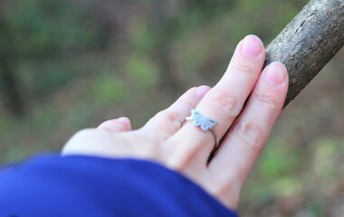 hand on the tree