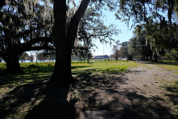 Beaver Park - Lafayette, LA