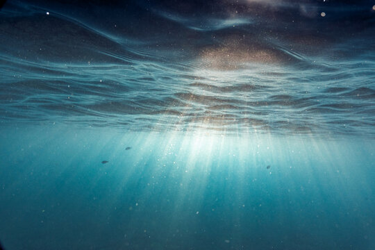 View of underwater sea