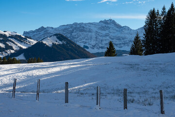 Fototapeta na wymiar View from a snow coveread meadow to Saentis, a mountain in Switzerland