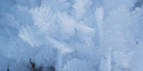 Naklejka na ściany i meble snow wonderful crystals that form unusual shapes in frosty winter weather