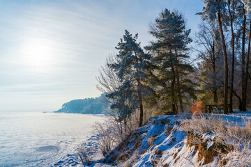 Fototapeta na wymiar Tranquil winter morning in the forest