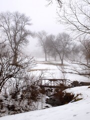 Fototapeta na wymiar Foggy landscape with snow, bare trees and footbridge