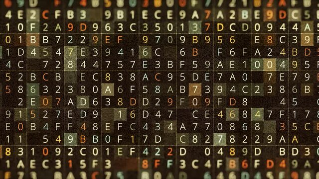 Colorful parallel rows of letters and numbers flickering fast on black background, seamless loop. Animation. Technology and hacking program concept.