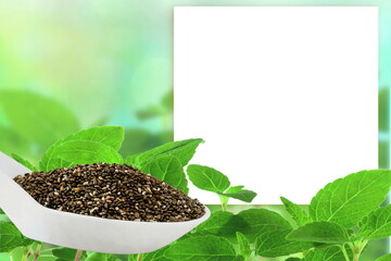chia seeds in spoon  isolated with plant leaves and blank white paper board for text copy space