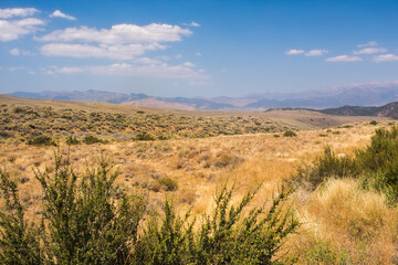 Summer Sierra Nevada landscape in sunny day.  California, USA