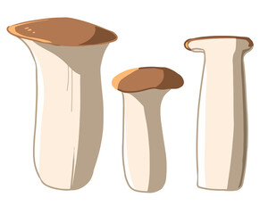 エリンギ(線無し)