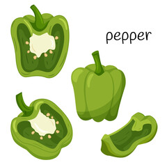 Unripe green pepper. Whole, half in cross-section and a quarter slice. Ingredient, an element for the design of food packaging, recipes, and menus. Isolated on white vector illustration in flat style.
