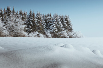 Winterpanorama mit Wald, Hintergrunddesign Weihnachtskarte, Schneelandschaft, Hintergrunddesign, Headergeeignet