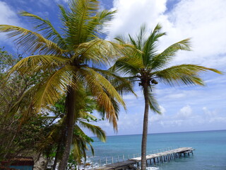 Obraz na płótnie Canvas Ponton Pointe de la Cherry Martinique