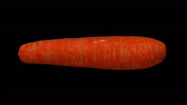 Realistic render of a rotating carrot on transparent background (with alpha channel). The video is seamlessly looping, and the object is 3D scanned from a real carrot.
