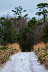Fire Service Roads Protecting Beautiful Federal and State Forests