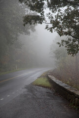 Mountain road into the fog