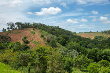 Detail of Atlantic Forest area cleared for agricultural planting in Guarani, Minas Gerais state,...