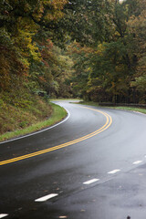 Fototapeta premium Path through the woods