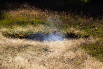 Fototapeta na wymiar Steam from a hot spring of Yellowstone