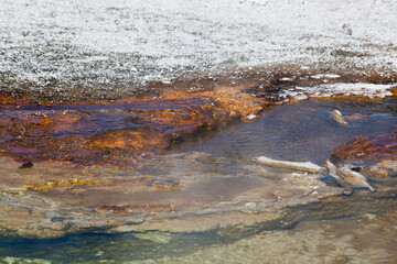 Steam from a hot spring of Yellowstone