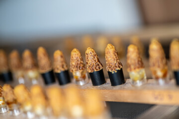 Placed capped queen cell in an incubator for nice temperature incubation. quality of honey bee queens was examined after period of pre-imaginal development. Artificial insemination for breed bees.