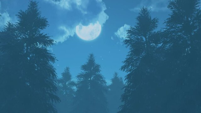 Recorrido nocturno por bosque de &aacute;rboles con niebla y la luna de fondo, escena 3d