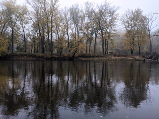 River in the woods with trees in Autumn