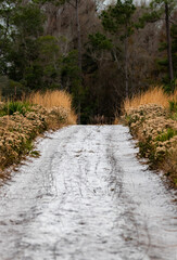 Fire Service Roads Protecting Beautiful Federal and State Forests