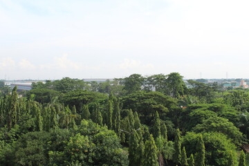 view of the city in forest