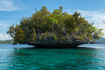 Fototapeta na wymiar Small tropical island, weathered by sea water, covered with lush vegetation, off the beautiful and heavenly shores of Gam Island in Raja Ampat, West Papua, Indonesia.