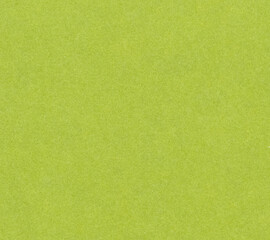 Obraz premium green paper texture background