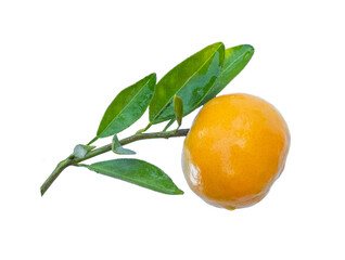 Nature orange fruit with leaf isolated on white background