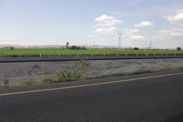 Fototapeta premium Paisaje y carretera 